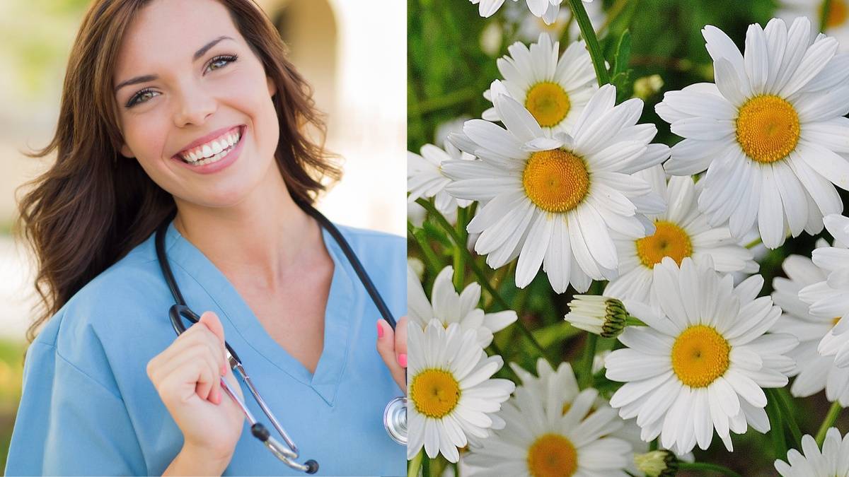How Does a Nurse Get a Daisy Award?