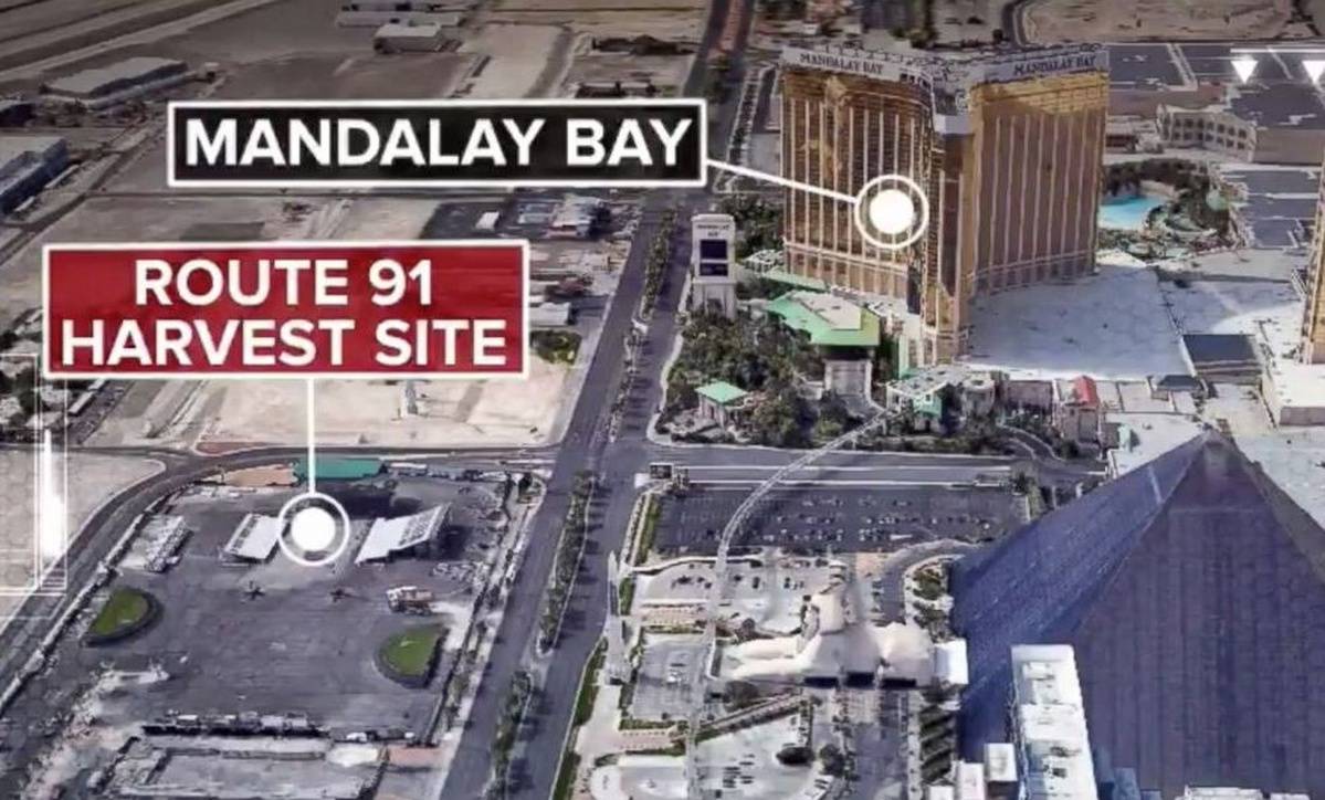 Nurse Killed In Vegas Shooting - What We Know And How You Can Help
