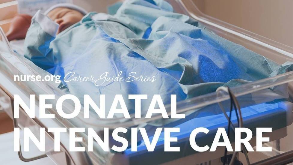 How To Become A Neonatal Nurse 2023 