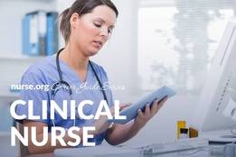 Nurse.org Career Guide: How to Become a CNS