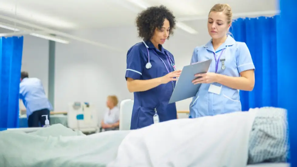 How to Go From MSN to NP