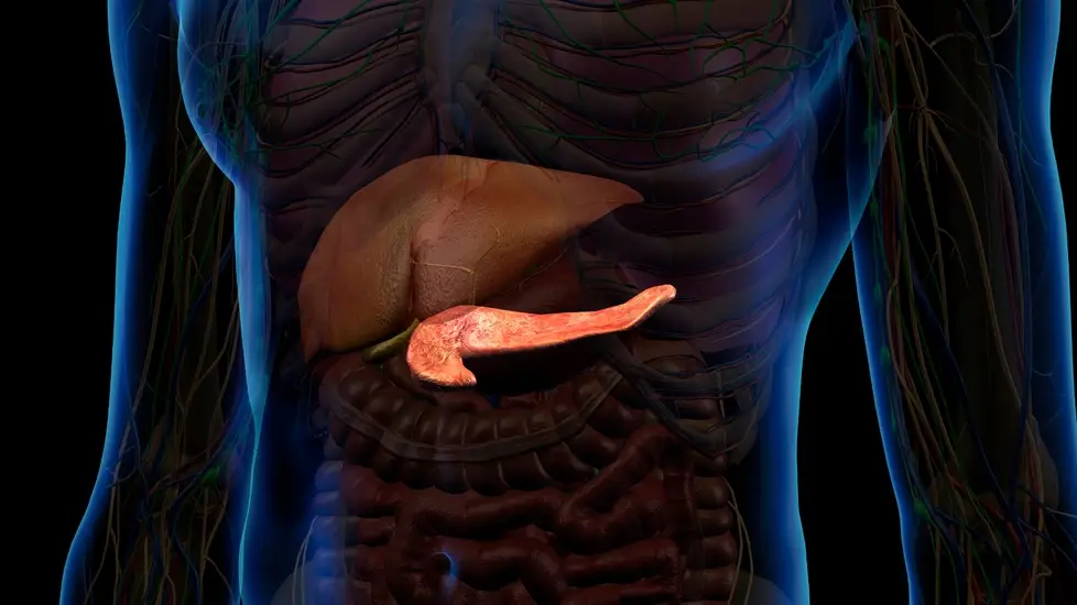 FDA Approves Wearable “Electric Field” Device for Pancreatic Cancer