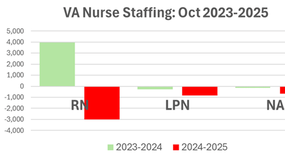Bar chart comparing VA nurse staffing changes, showing RN gains in 2023–24 and losses across RN, LPN, and NA in 2024–25.