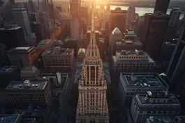 direct entry msn chicago illlinois.jpg