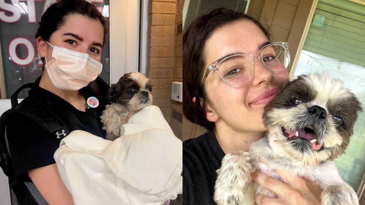 Travel Nurse Fosters Homeless Patient’s Dog "Charlie"