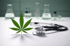 A stethoscope and a green seven-leaf cannabis plant on a white clinical surface, symbolizing medical research.