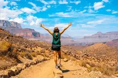 direct entry msn arizona