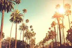 nursing in california