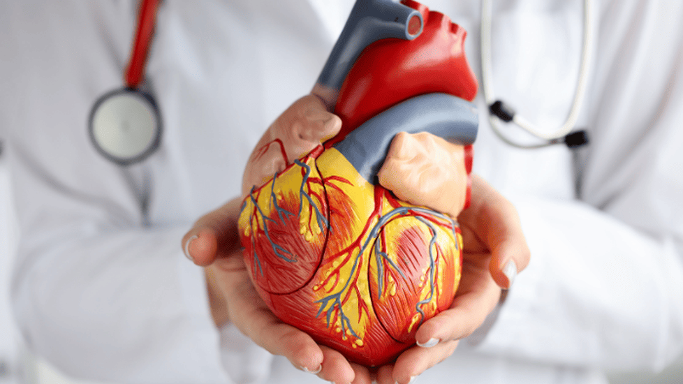 Atrial Fibrillation (AFib) Nursing Diagnosis & Care Plan