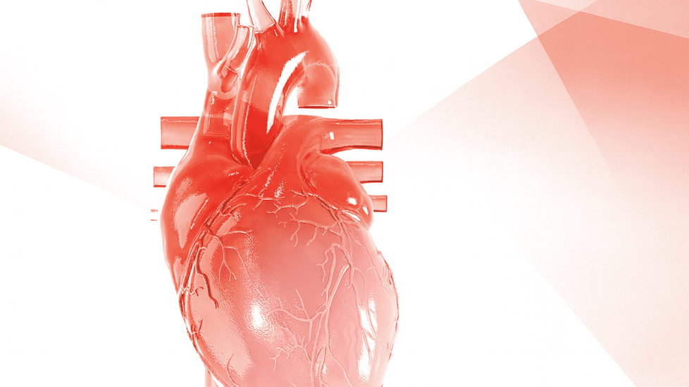 A detailed 3D medical illustration of a human heart in translucent red tones, showing veins and arteries against a soft white and pink geometric background.