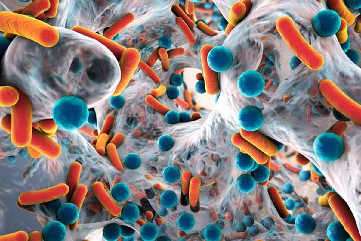 Superbugs, Nurses, and Antiobiotic Resistance