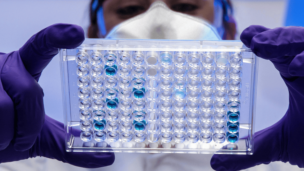 Nipah Virus: What Nurses Need to Know About the South Asian Outbreak