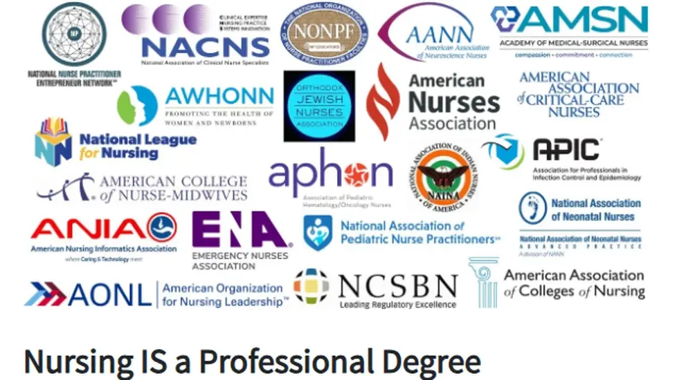 Logos of nursing organizations with the message 'Nursing IS a Professional Degree.'