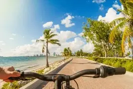 direct entry msn florida