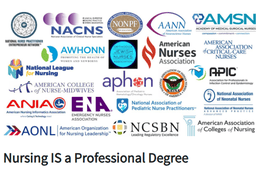 Logos of nursing organizations with the message 'Nursing IS a Professional Degree.'